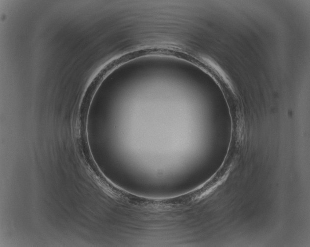X0000082970924200702011354