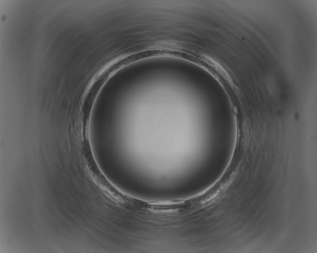 X0000082970931200702011354