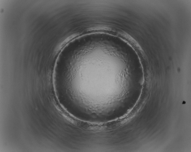 X0000082970937200702011354