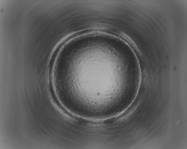 X0000082970939200702011354