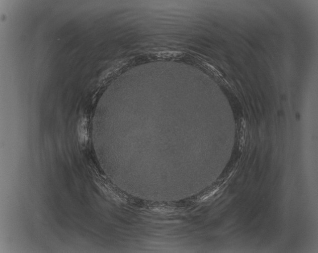 X0000082970962200702011354