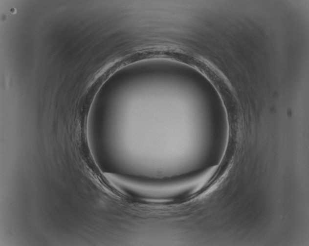 X0000082970969200702011354