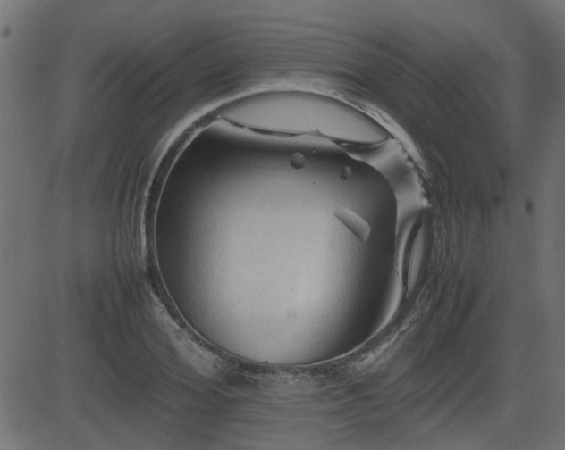 X0000082970980200702011354