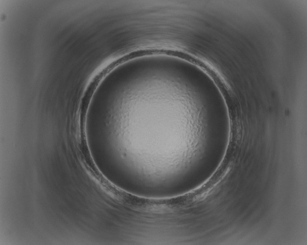 X0000082970982200702011354