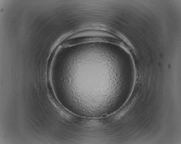 X0000082970986200702011354