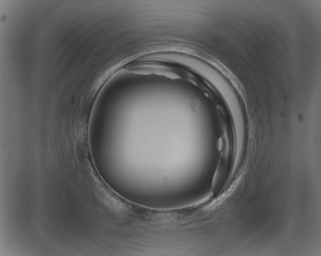X0000082970993200702011353