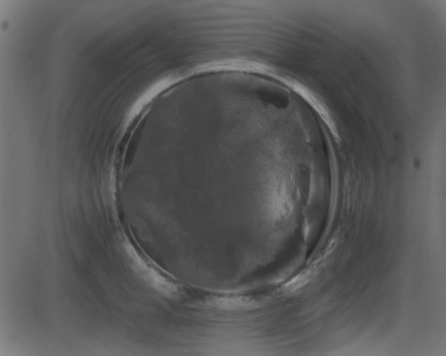 X0000082970998200702011353