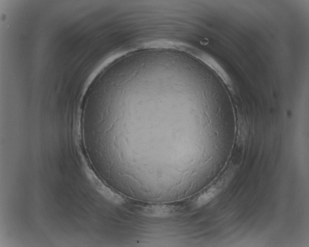X0000082971000200702011353