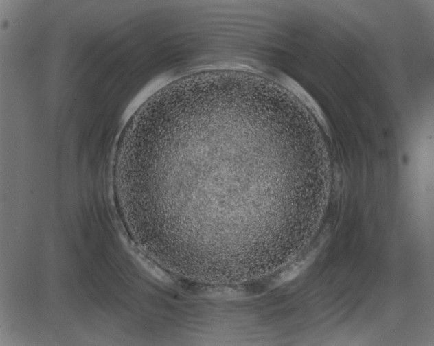 X0000082971002200702011353