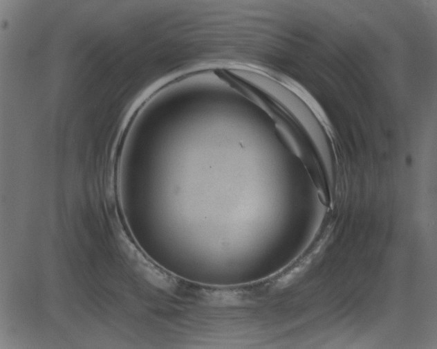 X0000082971004200702011353