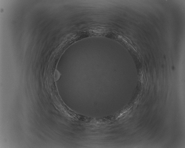 X0000082971009200702011352