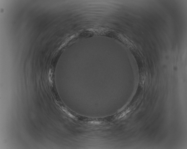 X0000082971010200702011352