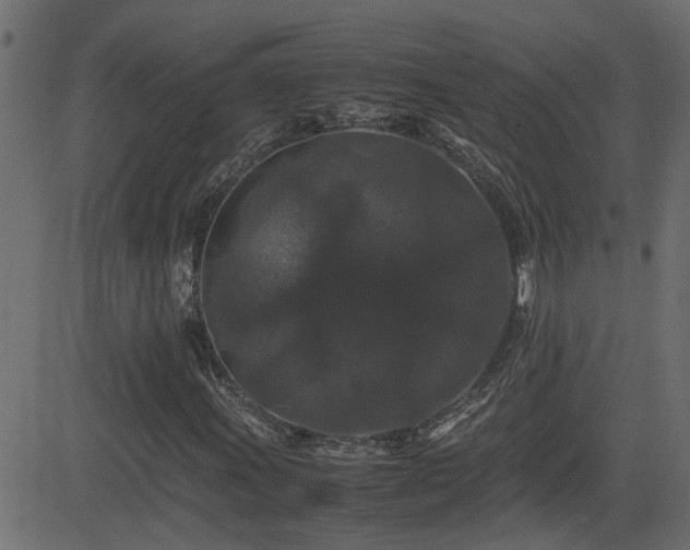 X0000082971011200702011352