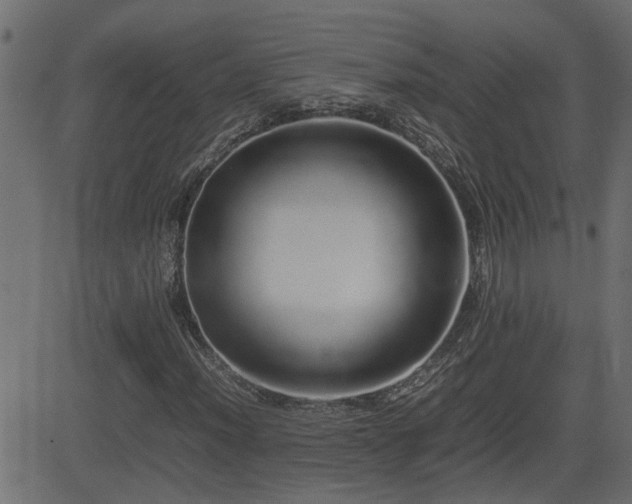 X0000082971012200702011353