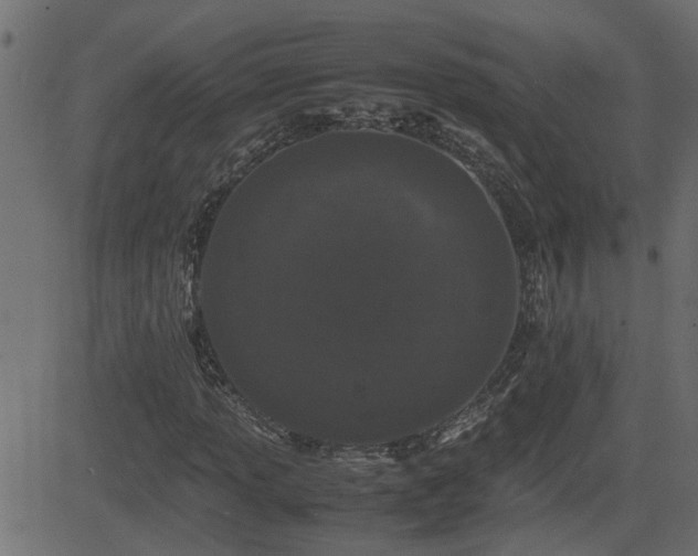 X0000082971013200702011353