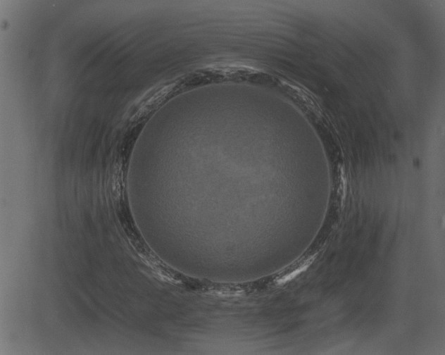 X0000082971014200702011353