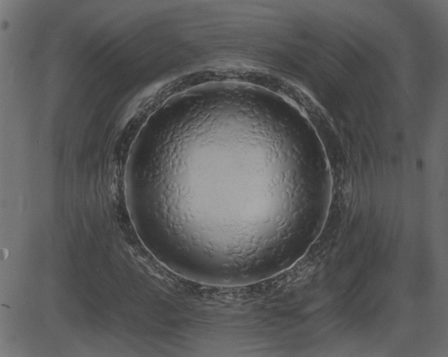 X0000082971016200702011353