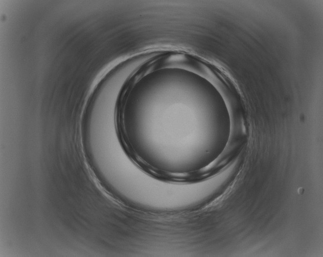 X0000082971030200702011353