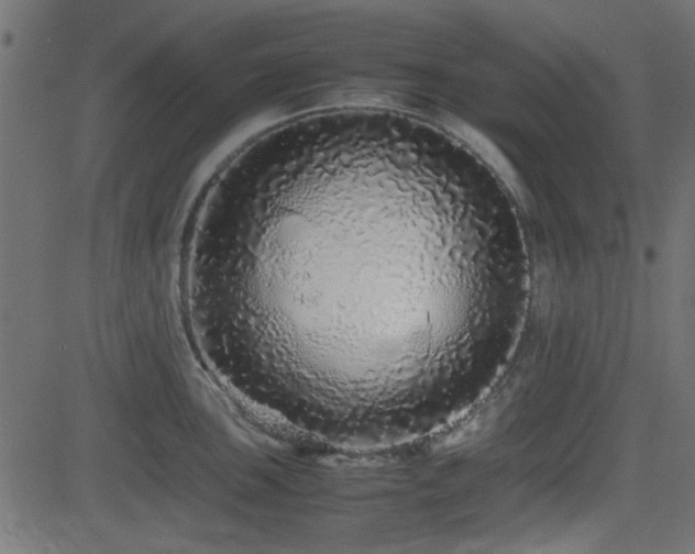 X0000082971051200702011353