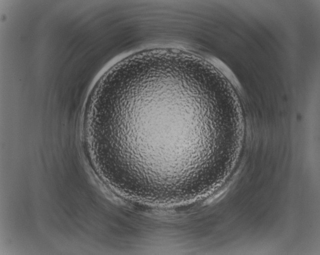 X0000082971052200702011353