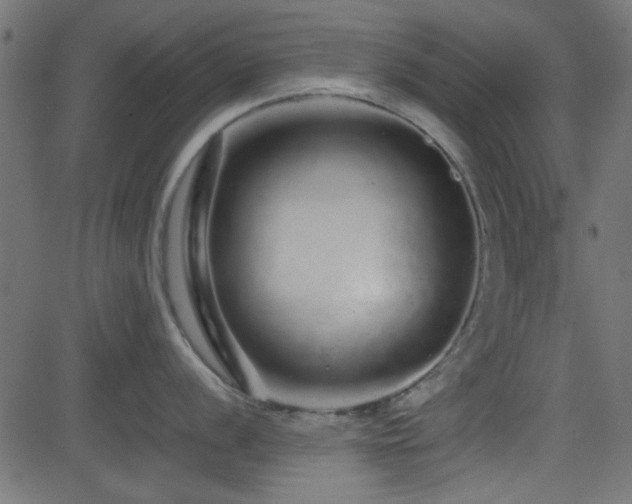 X0000082971056200702011353
