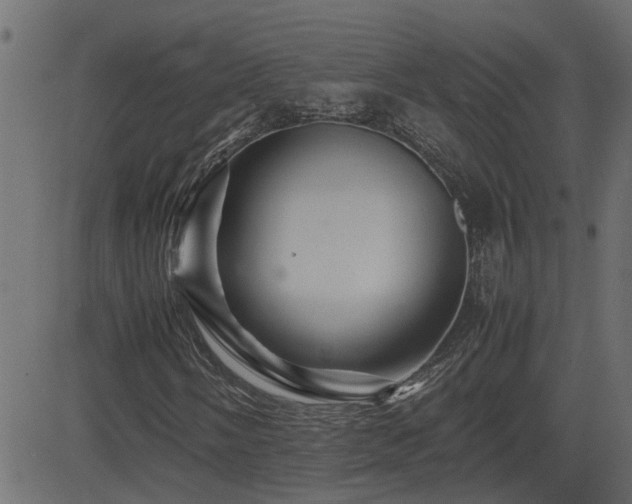X0000082971058200702011352