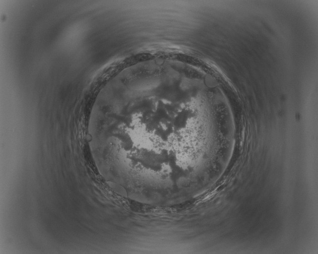 X0000082971063200702011352