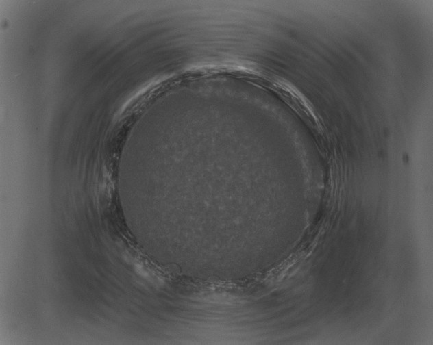 X0000082971064200702011352