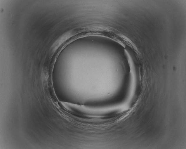 X0000082971065200702011352