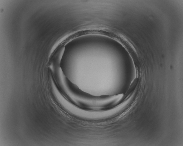 X0000082971069200702011352