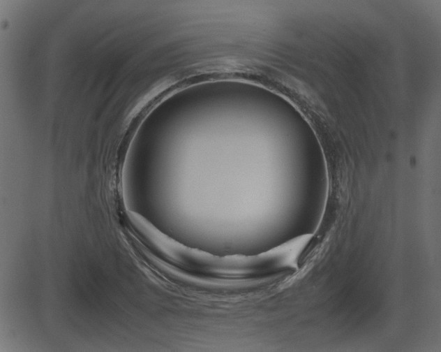 X0000082971073200702011352