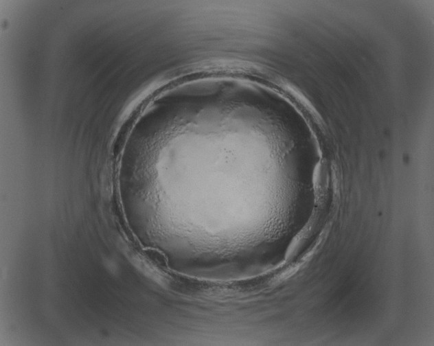 X0000082971075200702011352