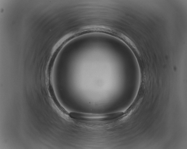 X0000082971082200702011352