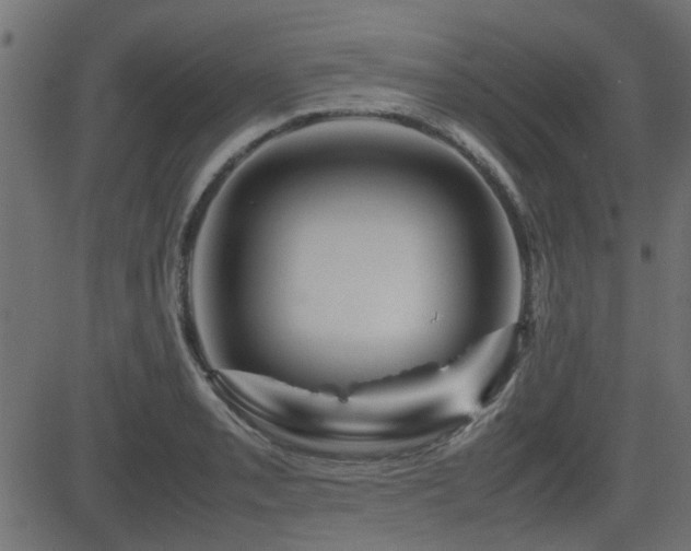 X0000082971085200702011352