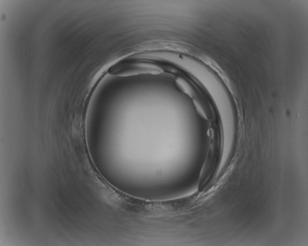 X0000082971089200702011352