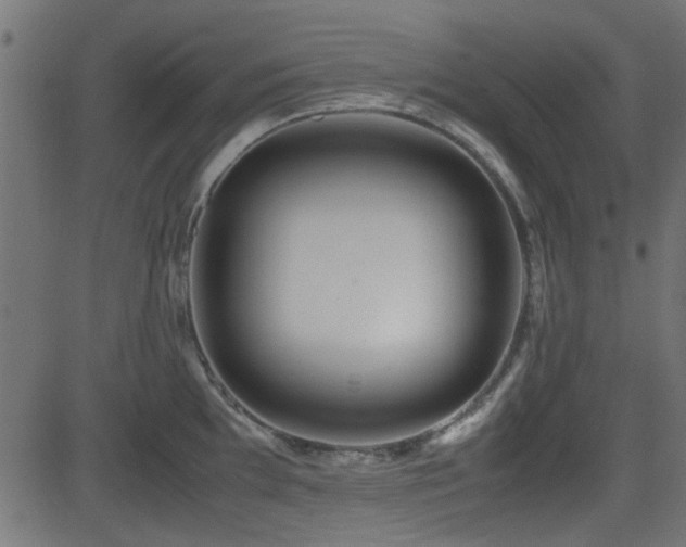 X0000082971097200702011352