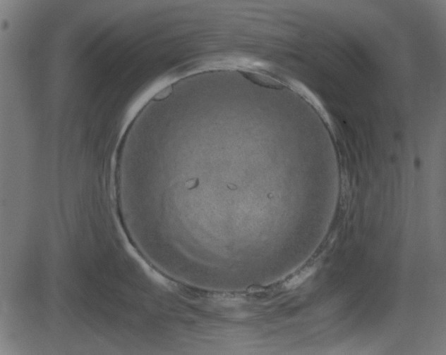X0000082971103200702011352