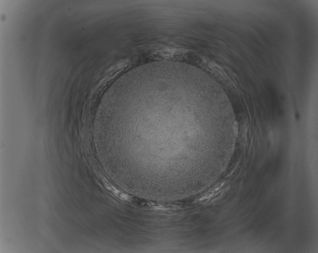 X0000082971105200702011351