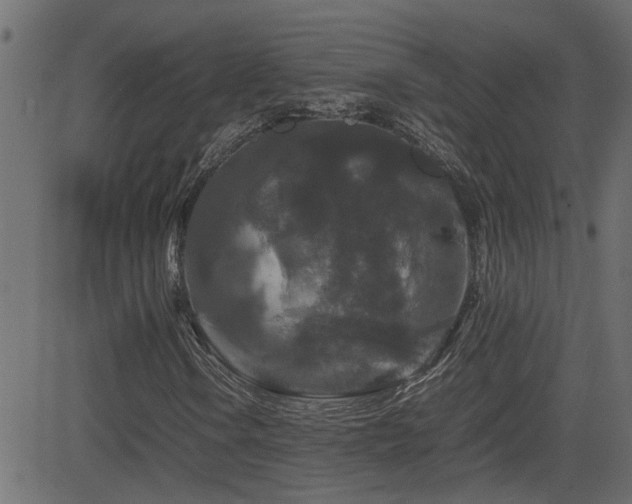 X0000082971106200702011351