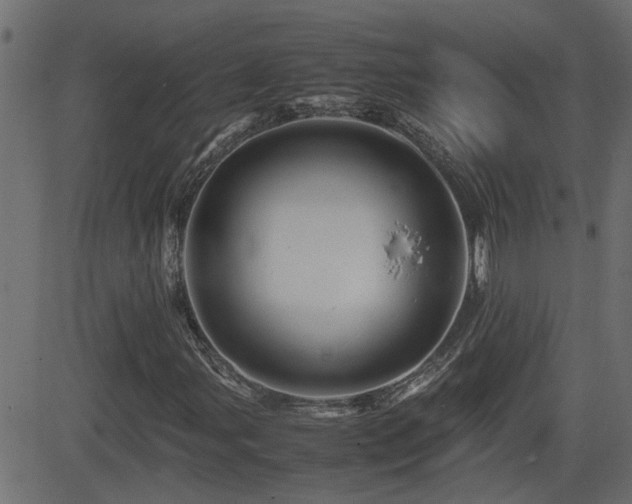 X0000082971107200702011351