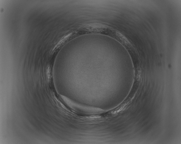 X0000082971108200702011351