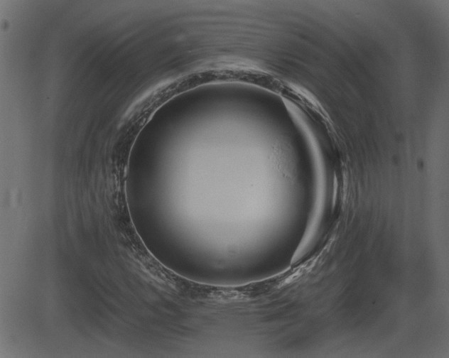 X0000082971112200702011351