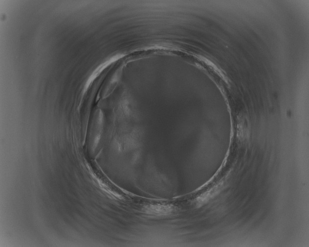 X0000082971117200702011351