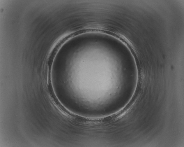 X0000082971123200702011351