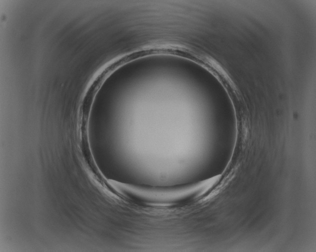 X0000082971124200702011351