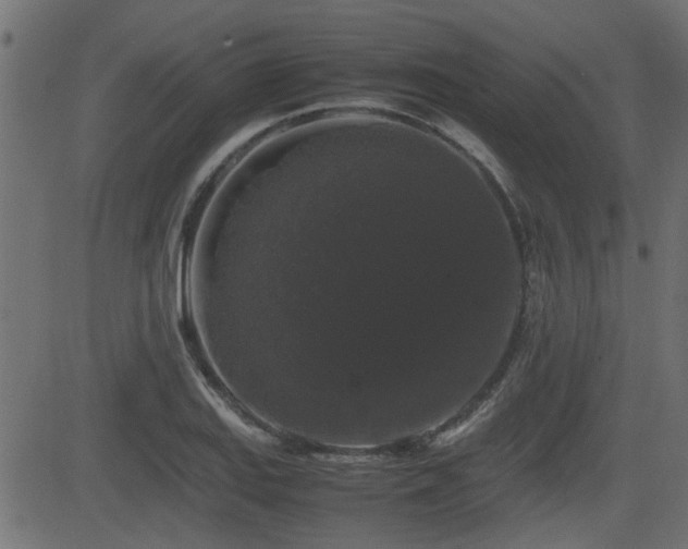 X0000082971127200702011351