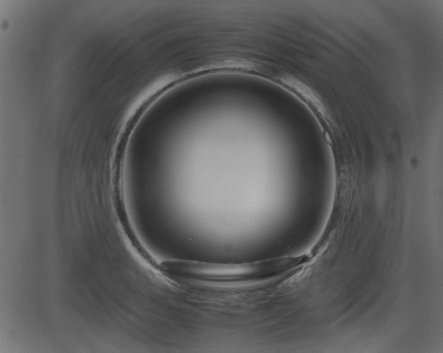 X0000082971135200702011351