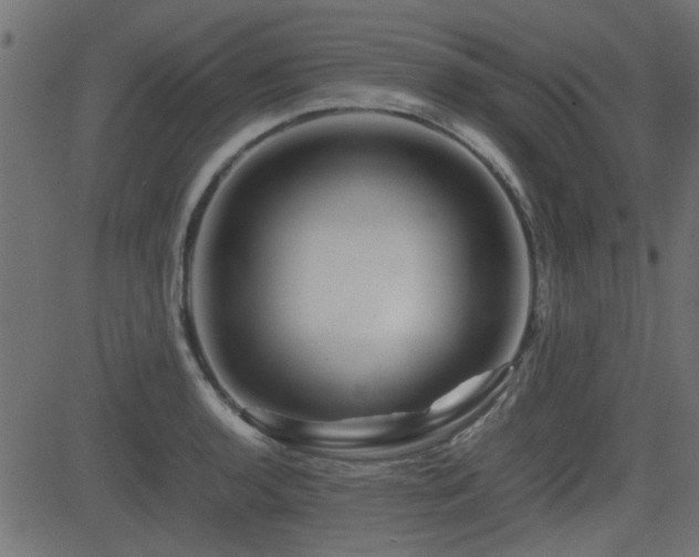 X0000082971136200702011351