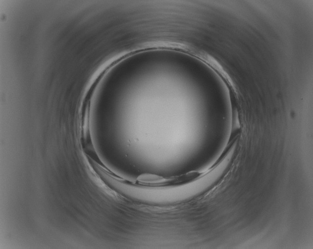 X0000082971140200702011351
