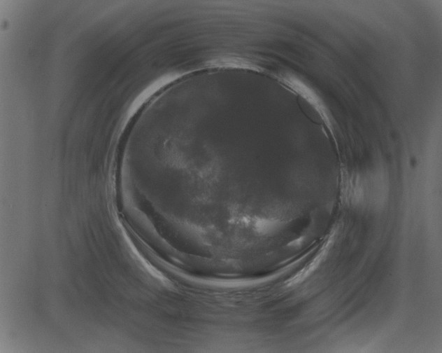 X0000082971141200702011351